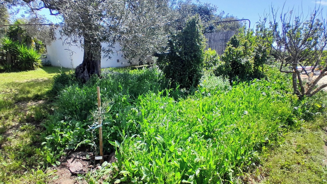 Photo of Outdoor in Olhao