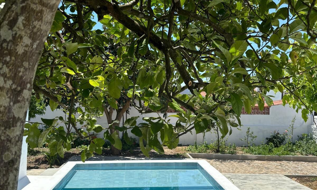 Photo of Outdoor in Montemor-o-Novo