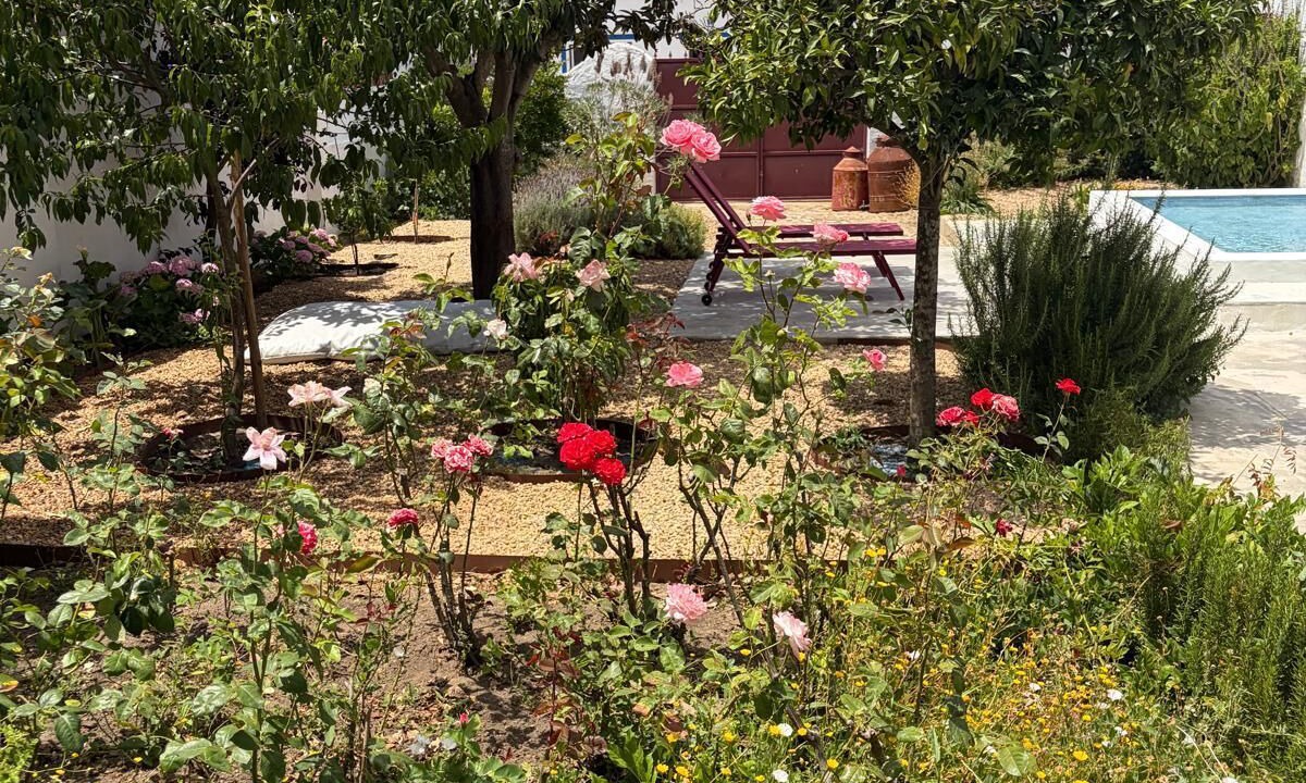 Photo of Outdoor in Montemor-o-Novo