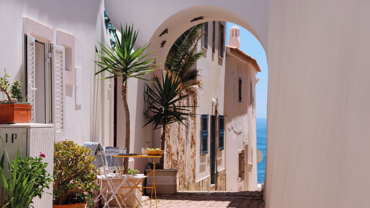 Photo of Outdoor in Calicos