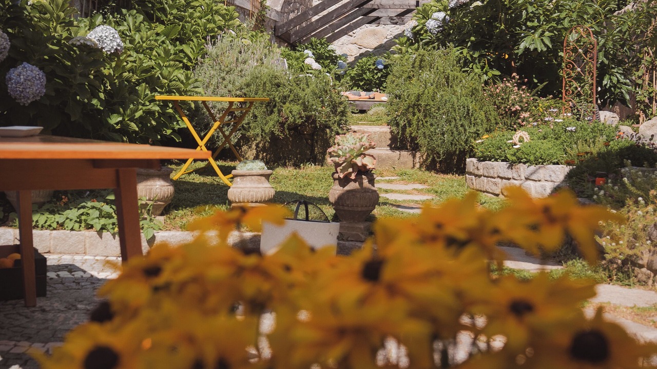 Photo of Outdoor in Bonfim