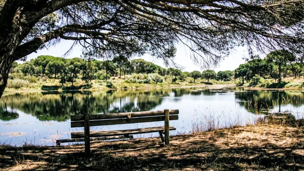 Photo of Others in Santa Maria do Castelo