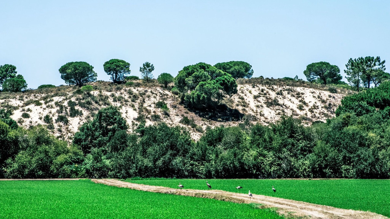 Photo of Others in Santa Maria do Castelo