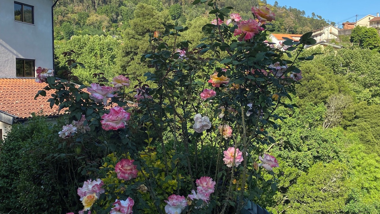 Photo of Outdoor in Amares