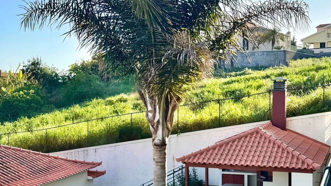 Photo of Outdoor in Ponta do Sol