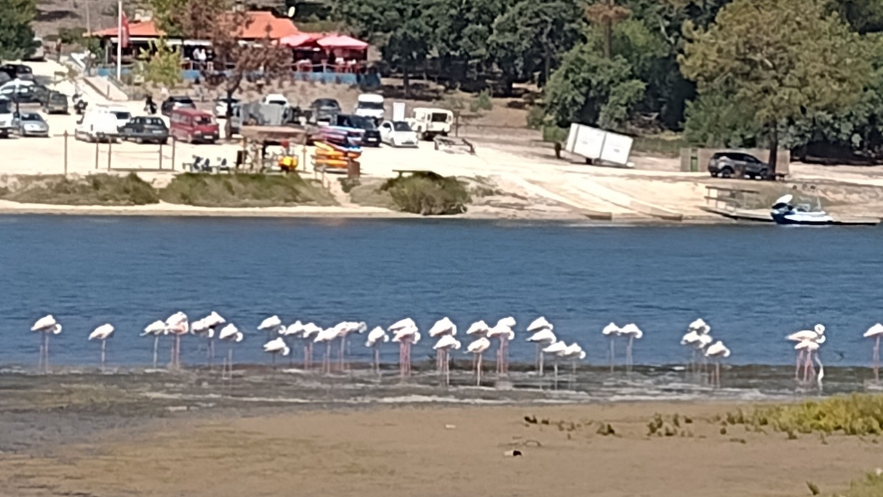 Photo of Others in Nadadouro