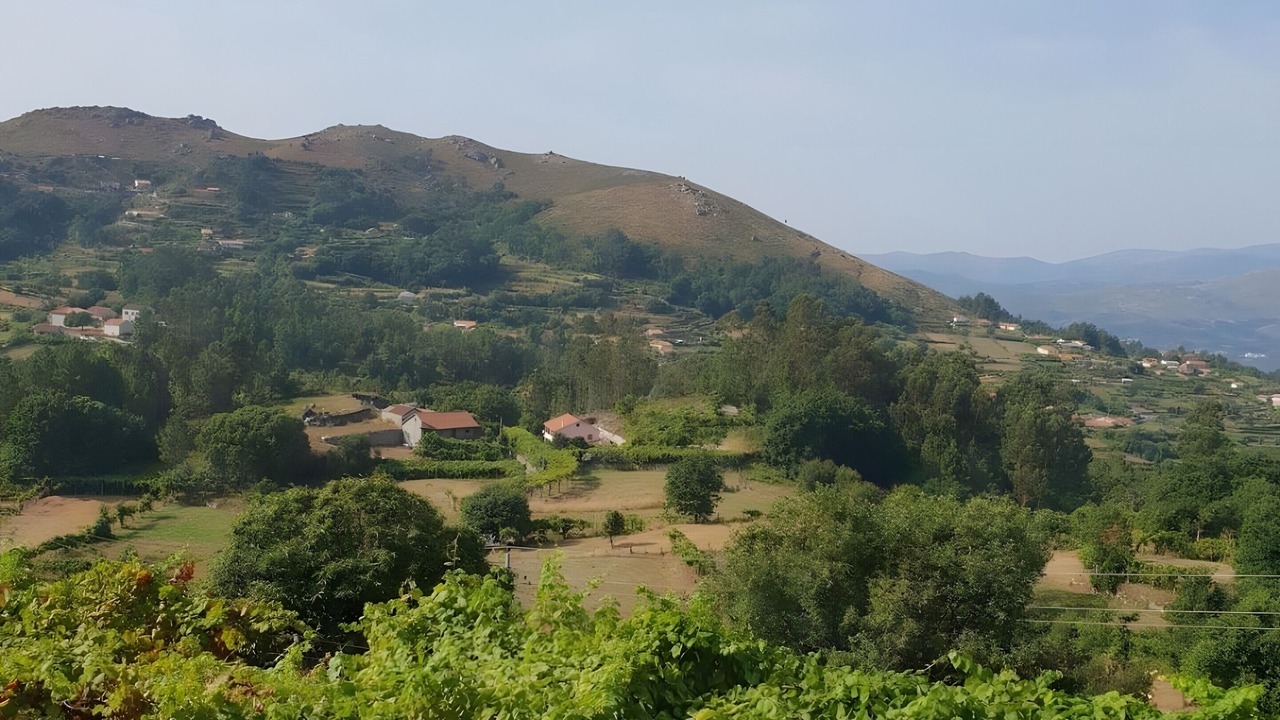 Photo of Others in Ponte da Barca