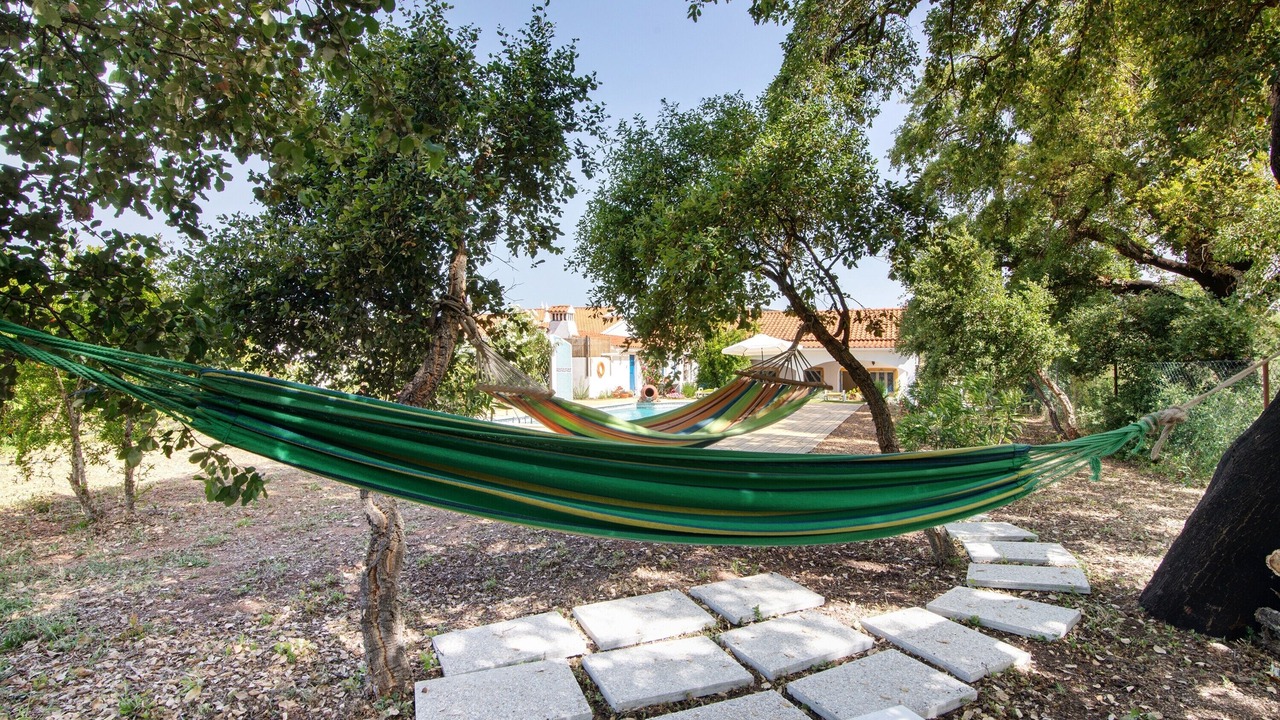 Photo of Outdoor in Loule