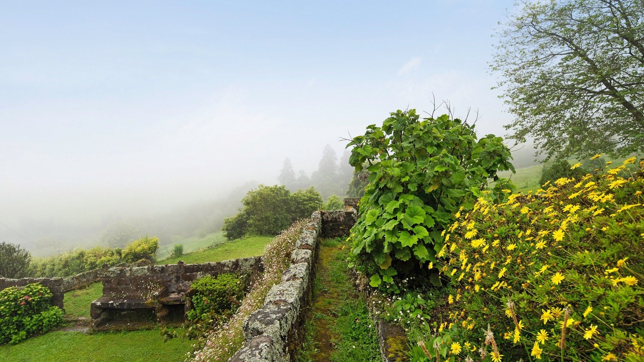 Photo of Outdoor in Nordeste