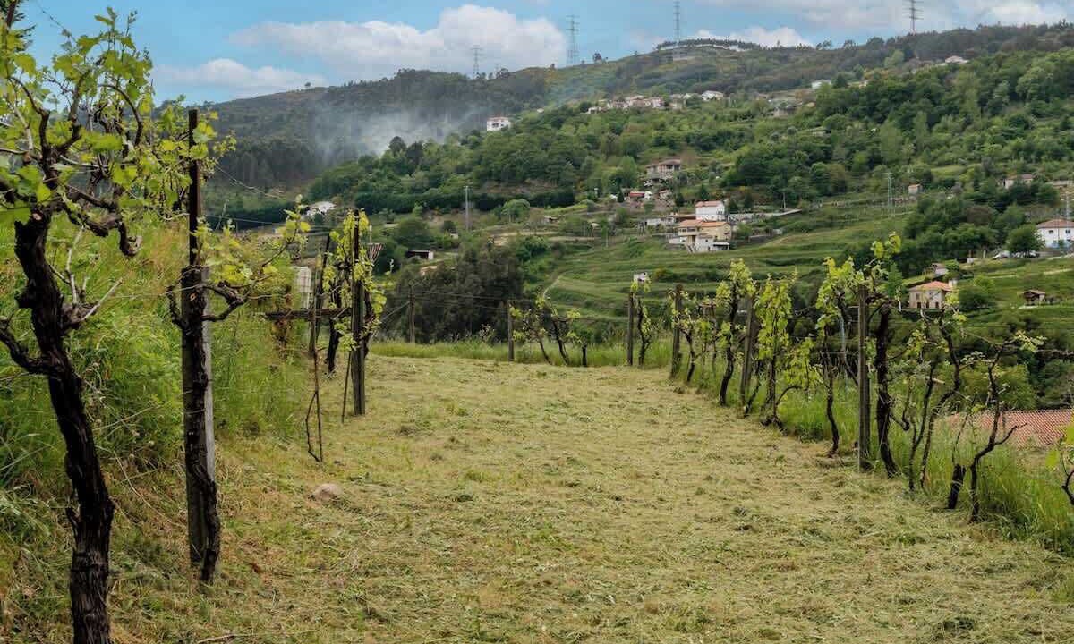 Photo of Others in Beijos