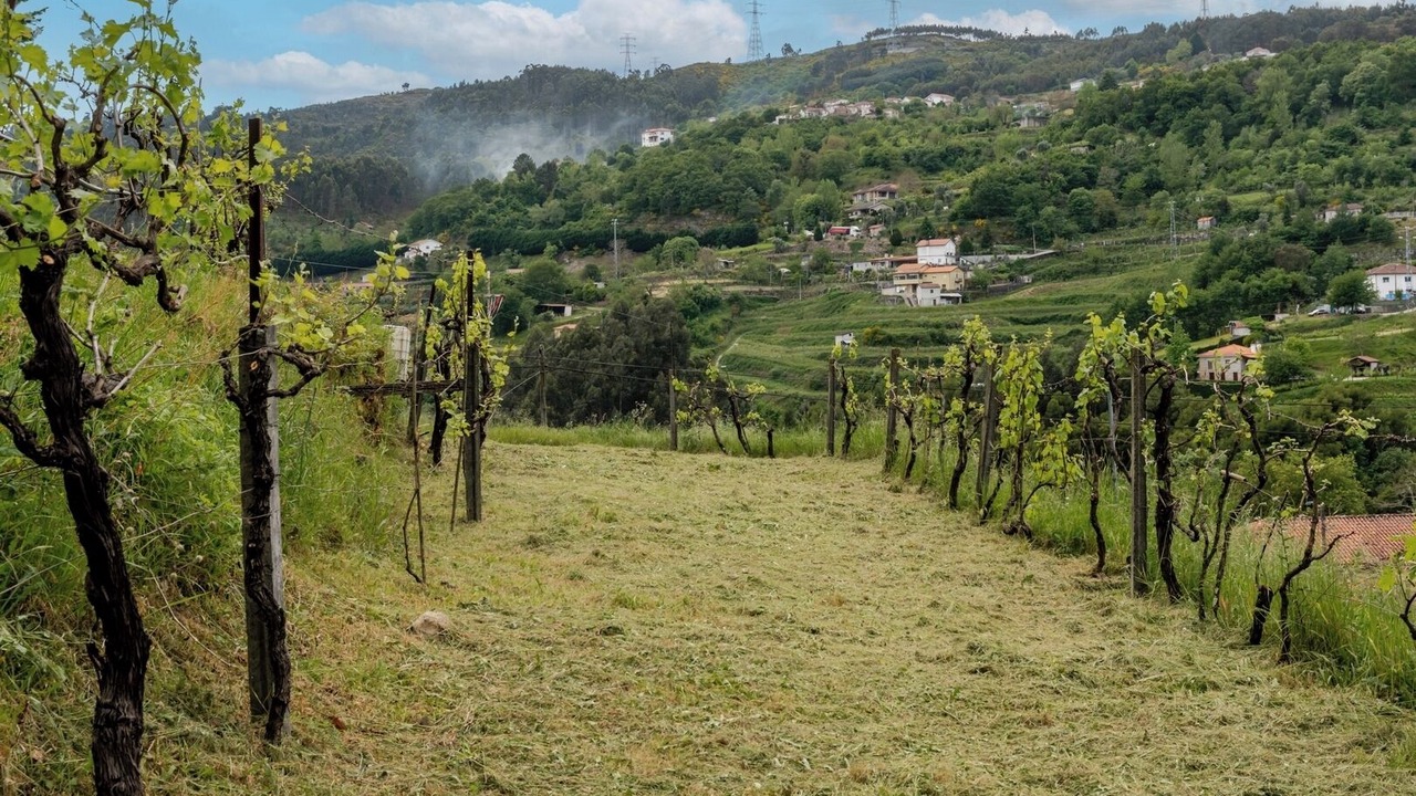 Photo of Others in Beijos