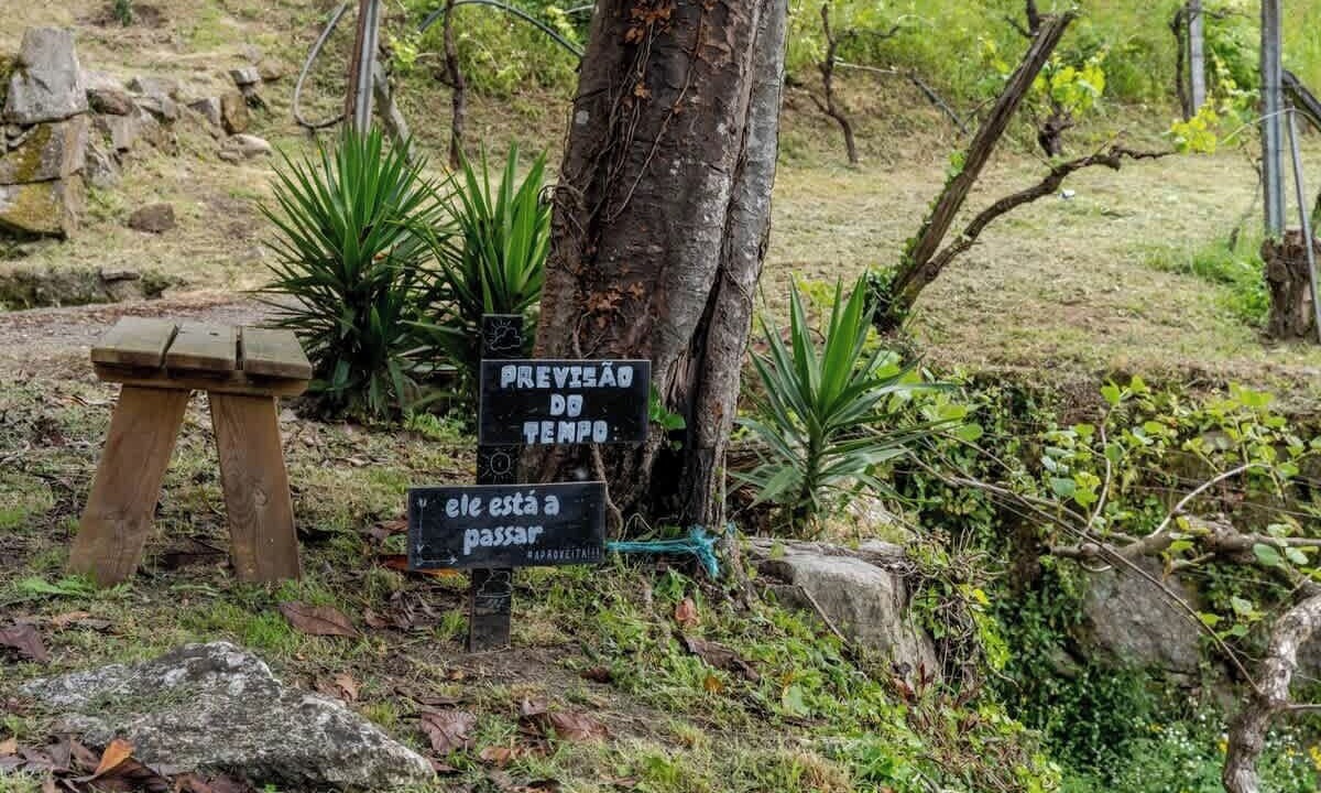 Photo of Outdoor in Beijos