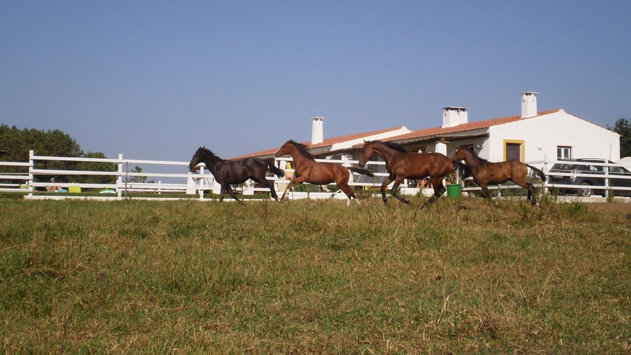 Photo of Others in Zambujeira do Mar