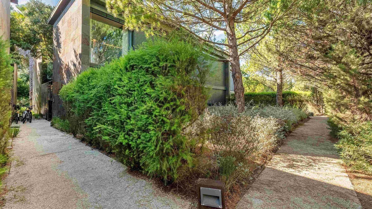 Photo of Outdoor in Carvalhal