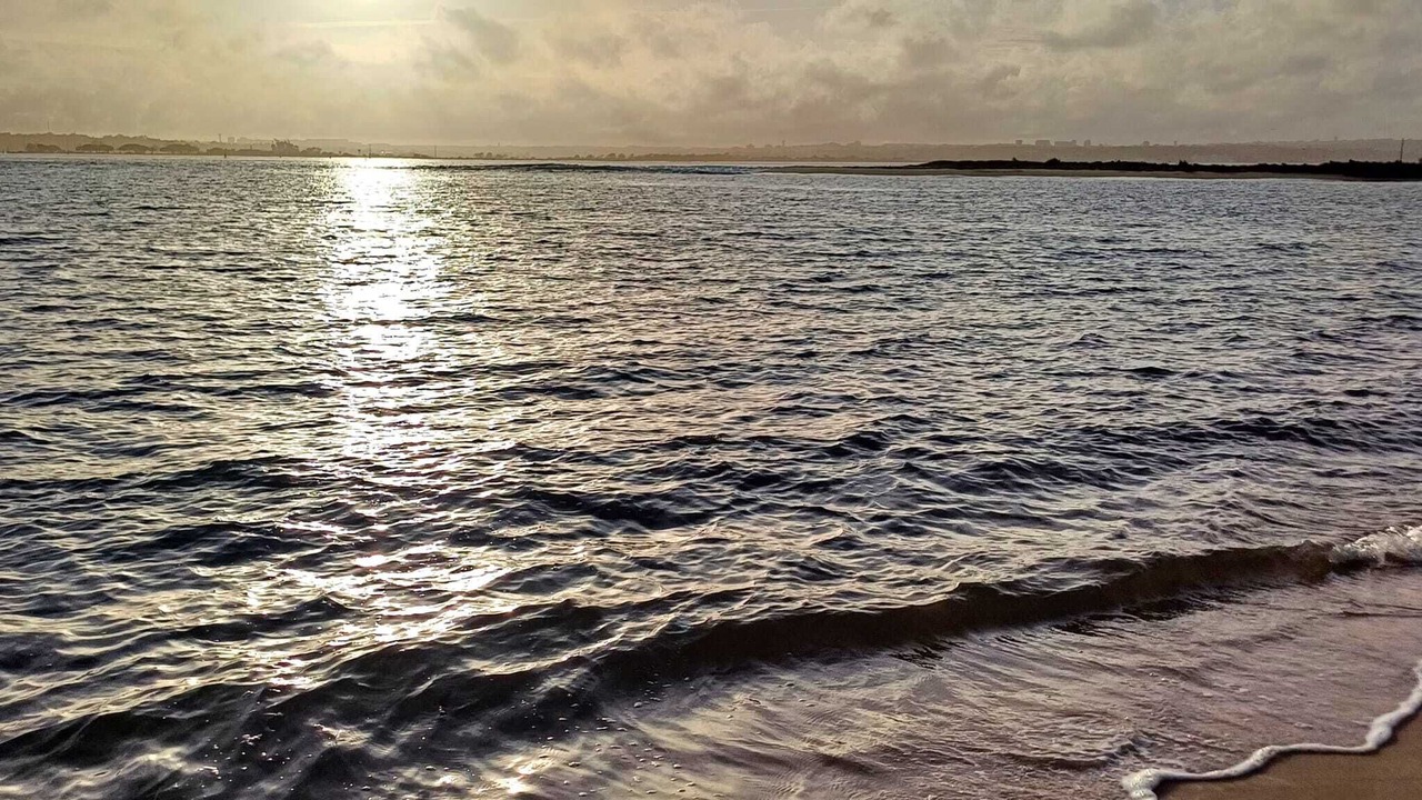 Photo of Others in Barreiro
