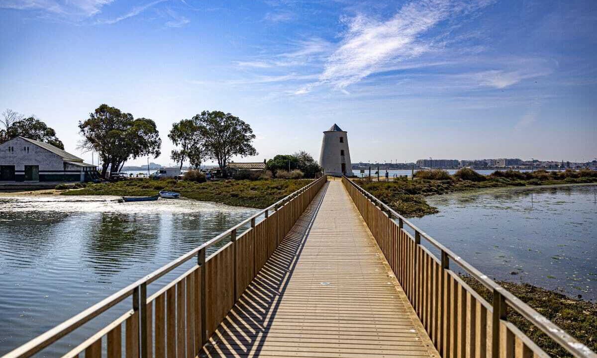 Photo of Others in Barreiro