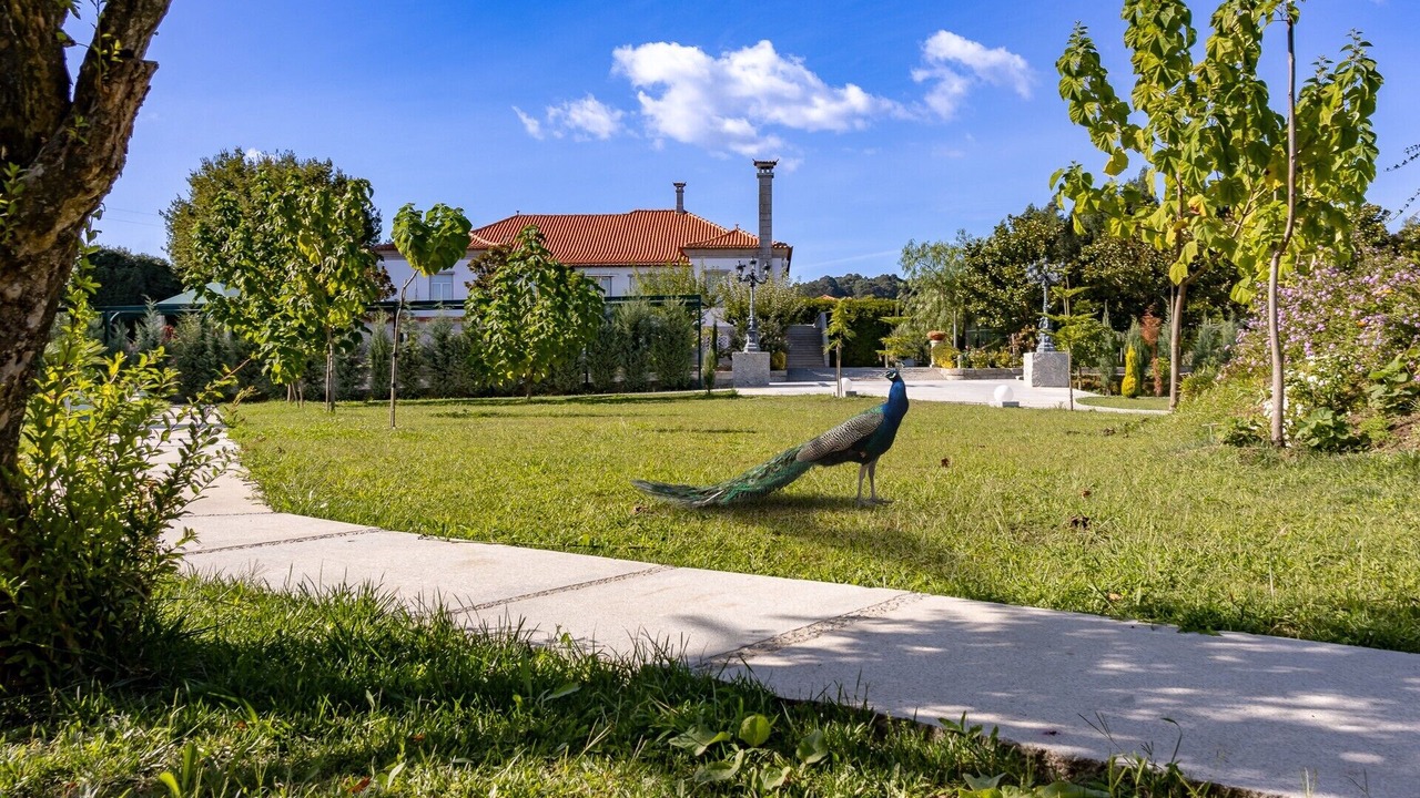 Photo of Outdoor in Ronfe