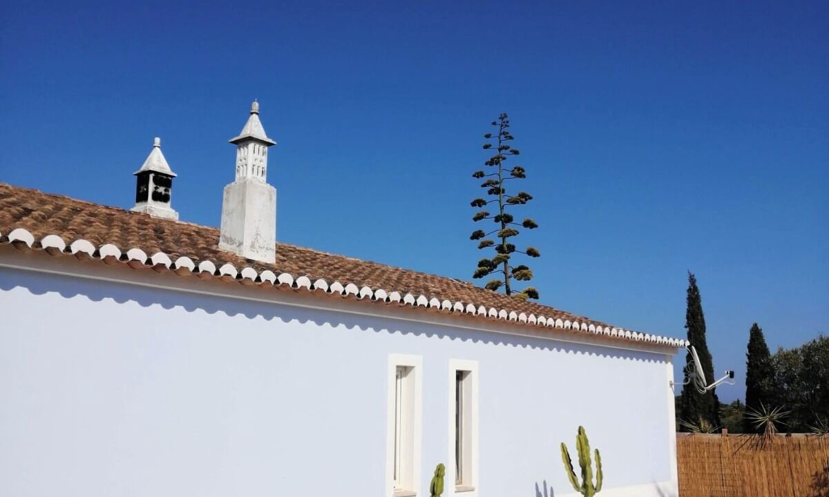 Photo of Patio Balcony in Vale da Lama