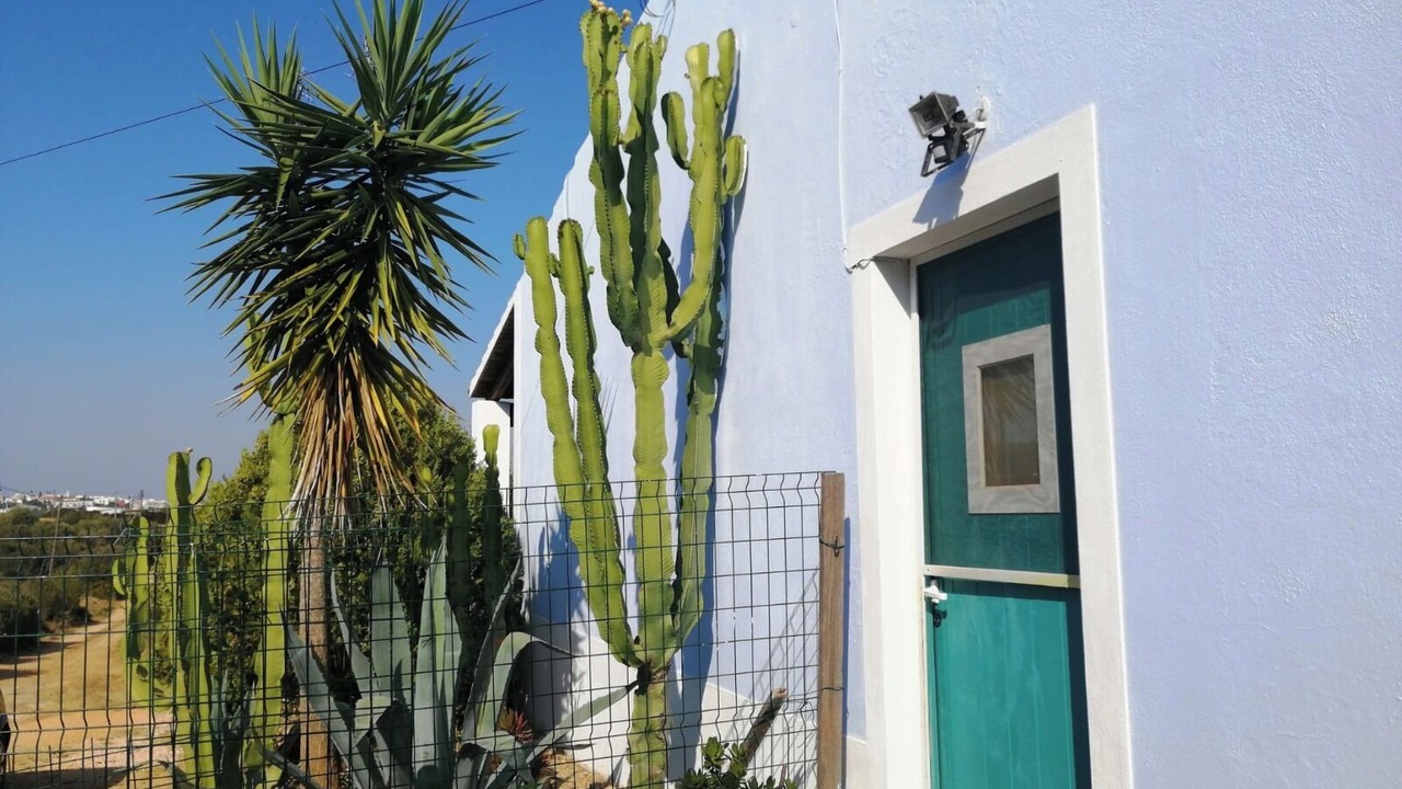 Photo of Outdoor in Vale da Lama