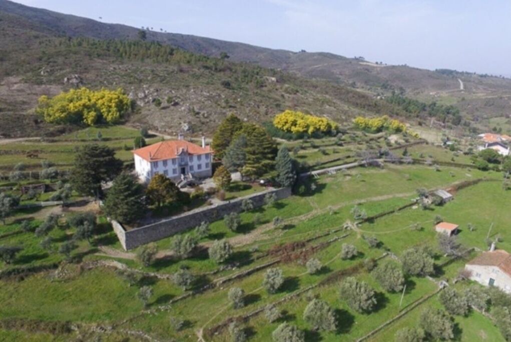 Photo of Outdoor in Celorico da Beira
