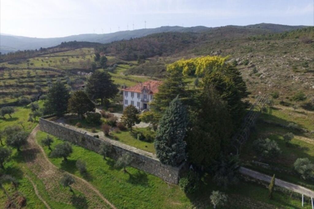 Photo of Outdoor in Celorico da Beira