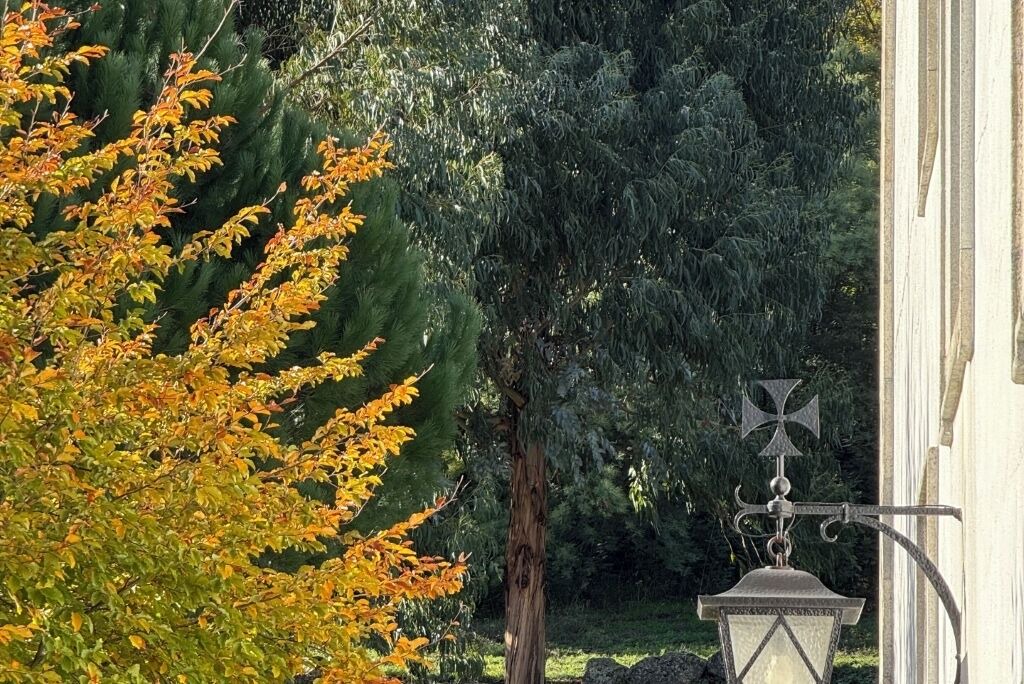 Photo of Outdoor in Celorico da Beira