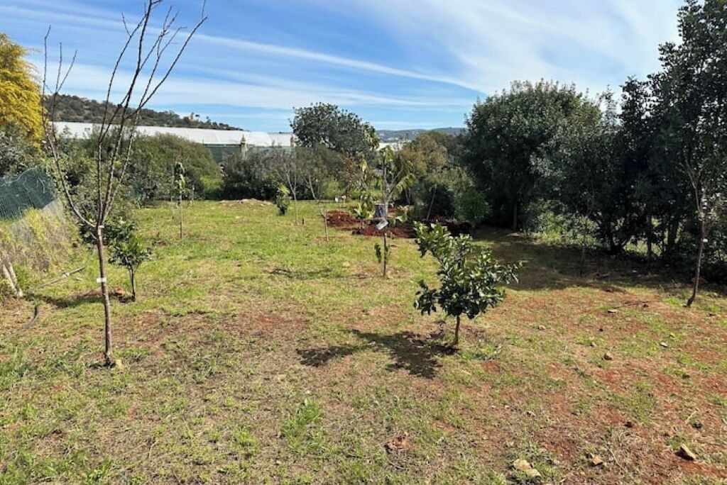 Photo of Outdoor in Loule