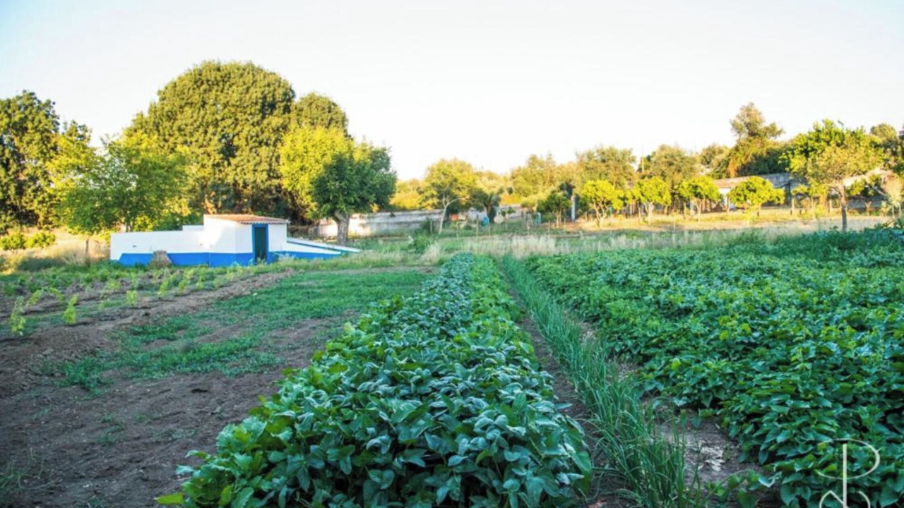 Photo of Outdoor in Alcacovas