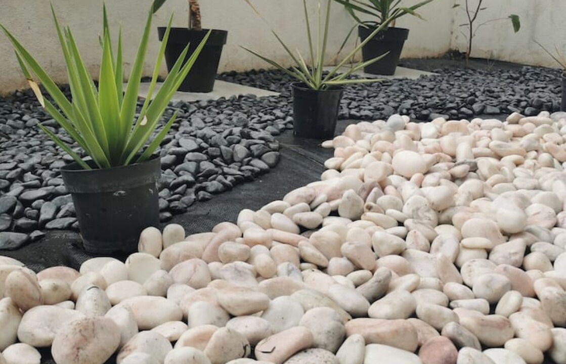 Photo of Outdoor in Cobre