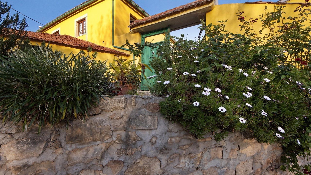 Photo of Outdoor in Coimbra