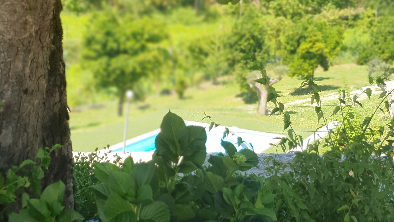 Photo of Outdoor in Rossas