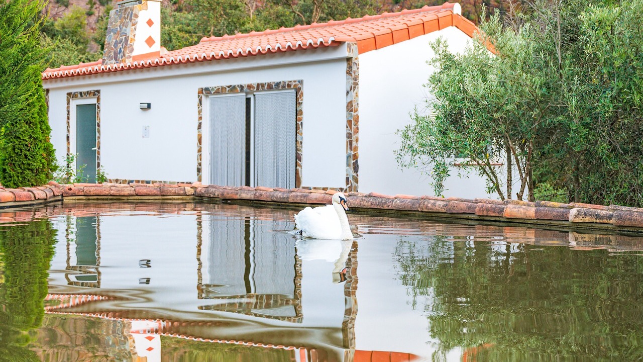 Photo of Outdoor in Baiona