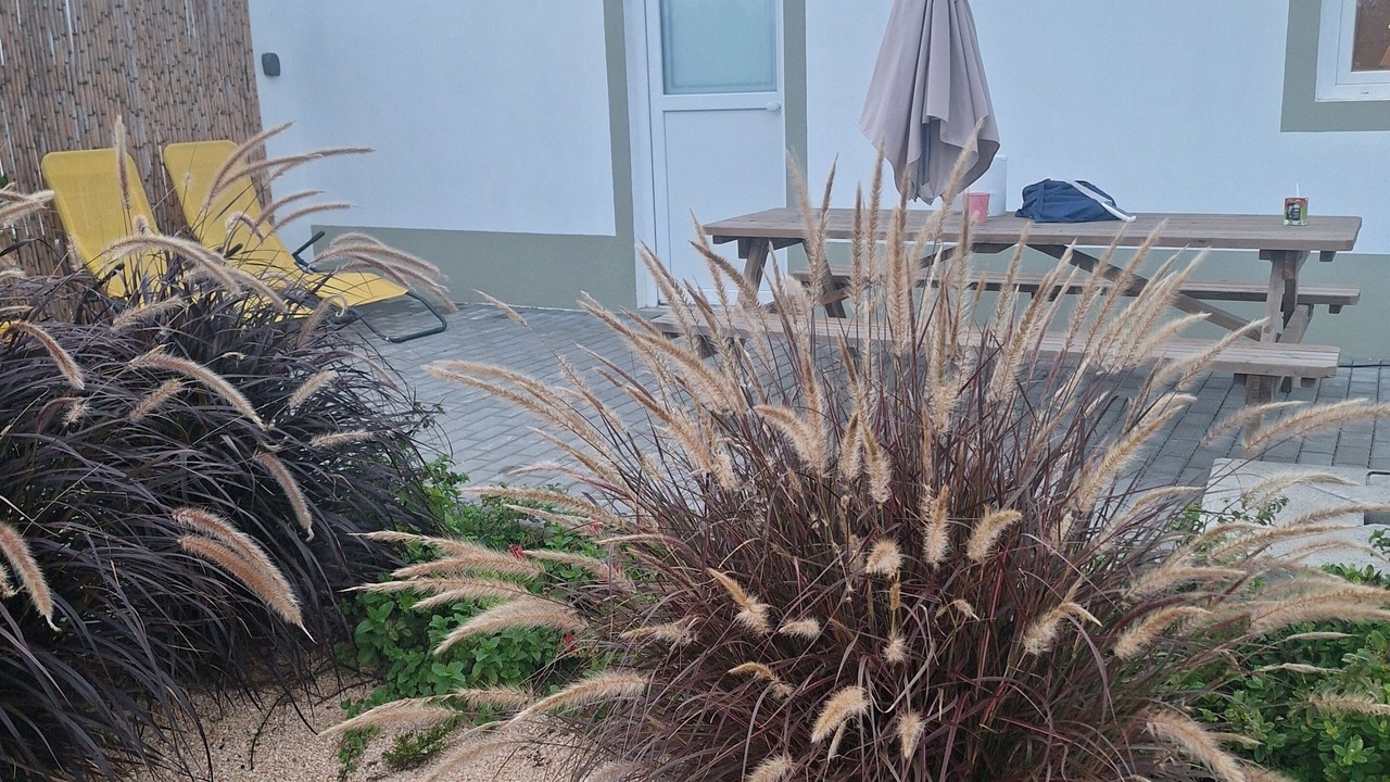 Photo of Others in Zambujeira do Mar