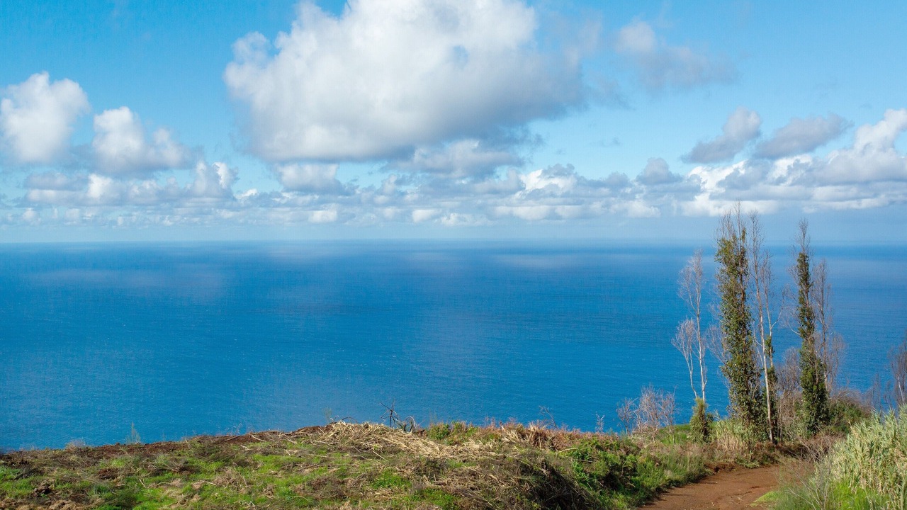 Photo of Others in Porto Moniz