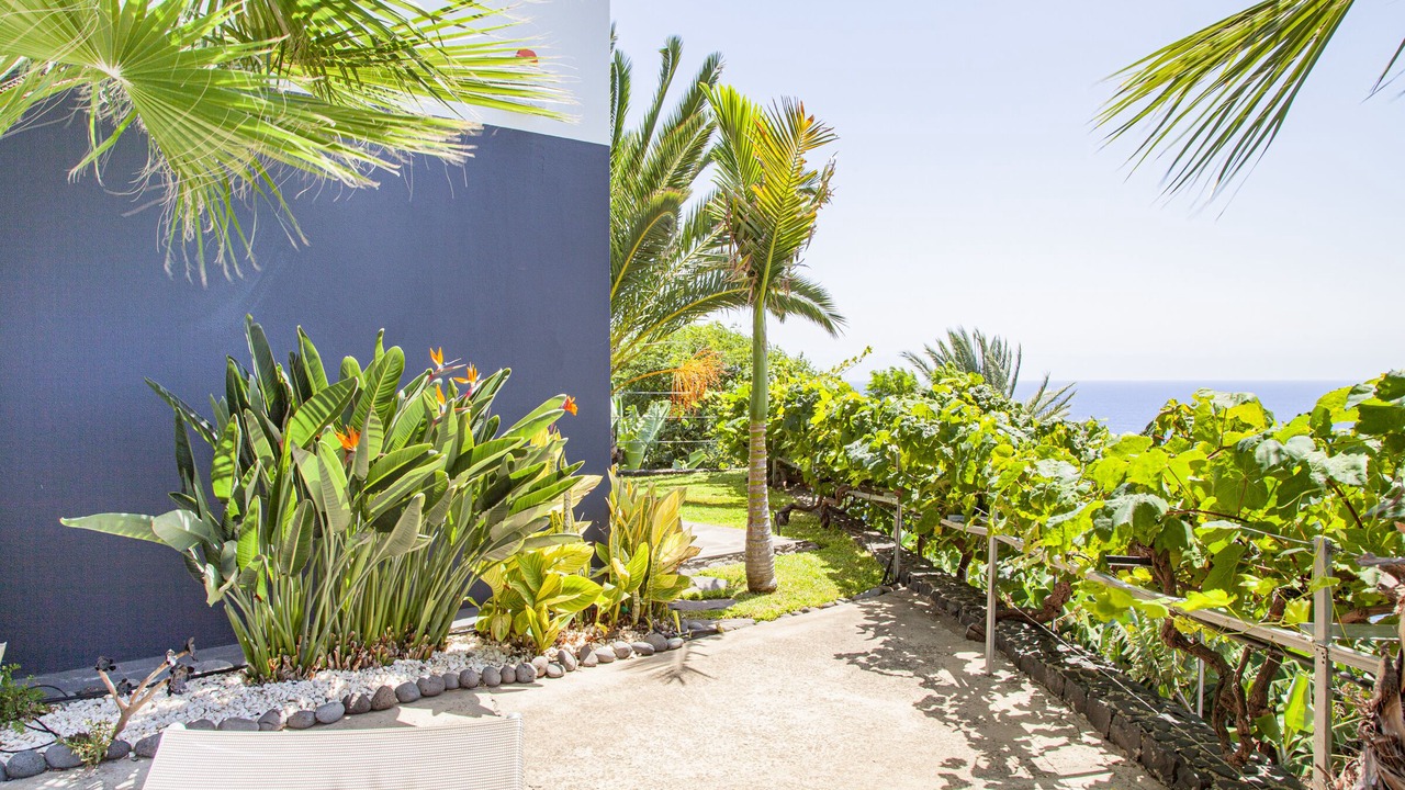 Photo of Outdoor in Arco da Calheta