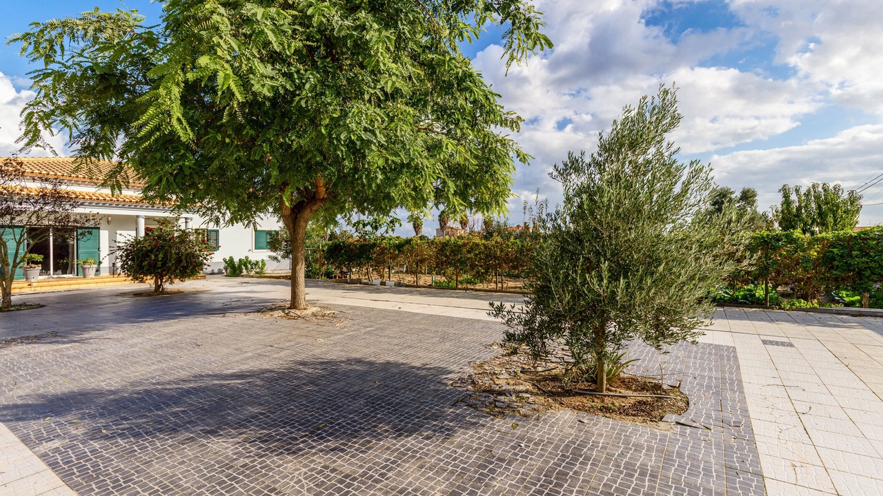 Photo of Outdoor in Palmela