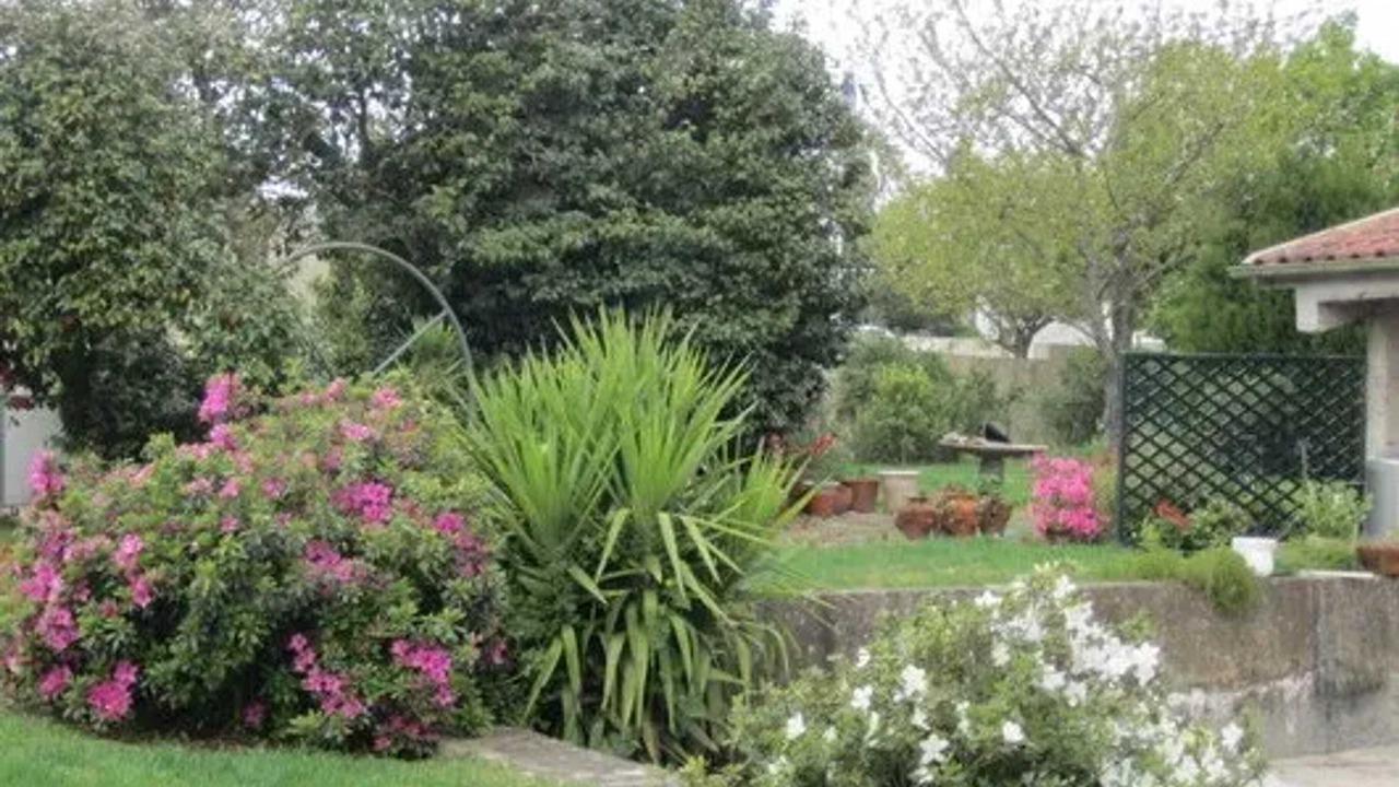 Photo of Outdoor in Amares