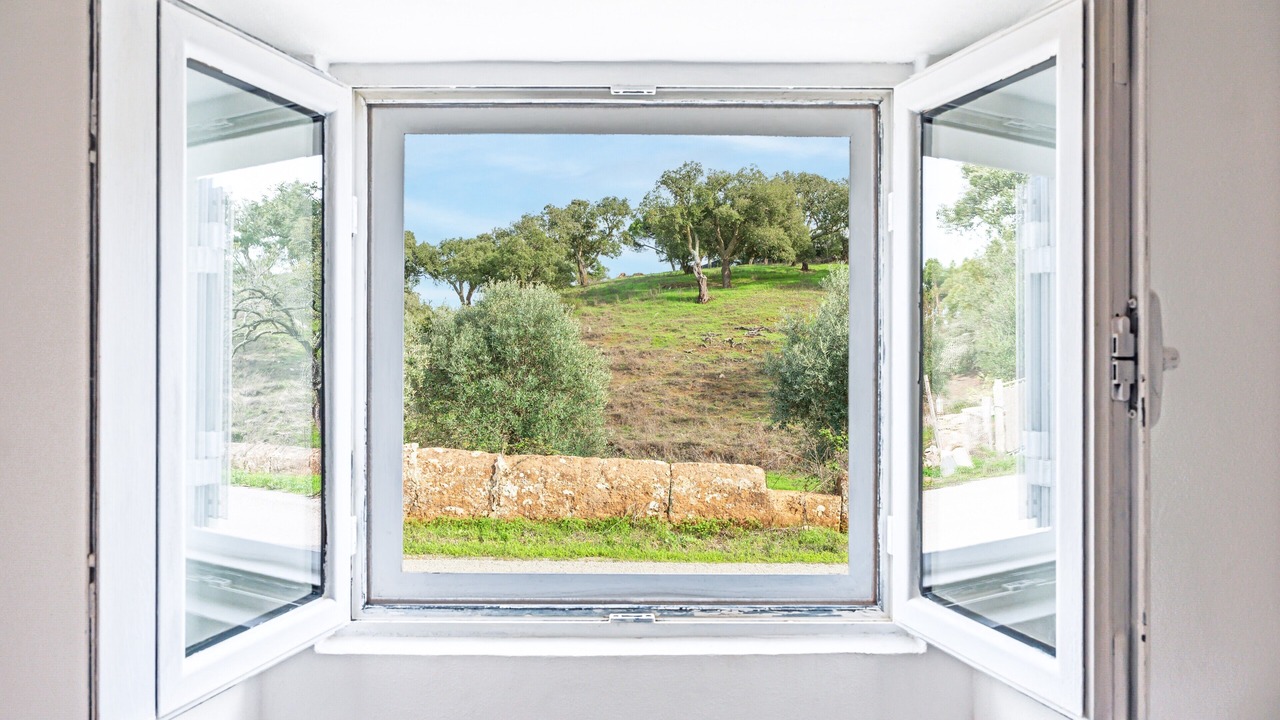 Photo of Others in Santa Margarida da Serra