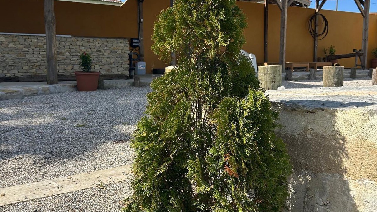 Photo of Outdoor in Magoito