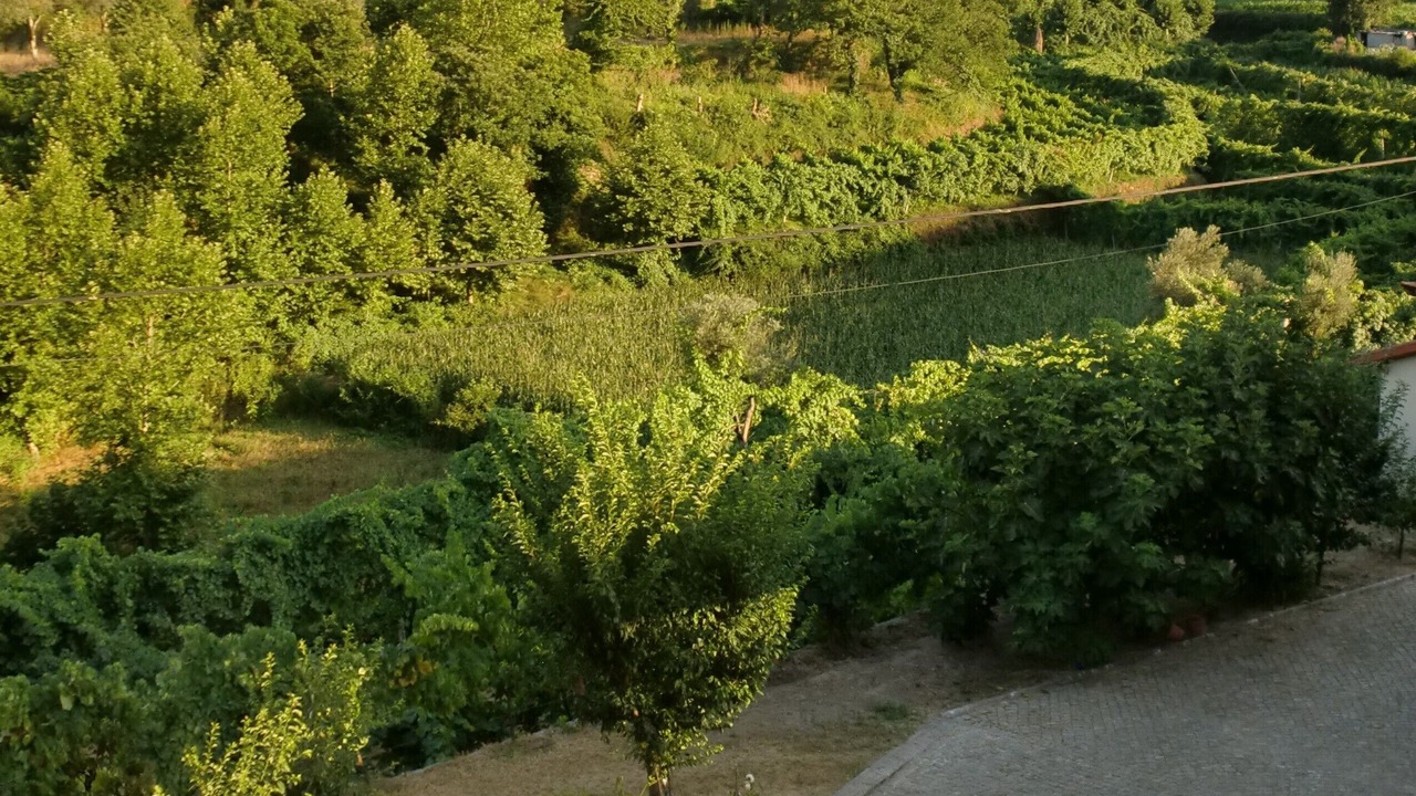 Photo of Outdoor in Molares