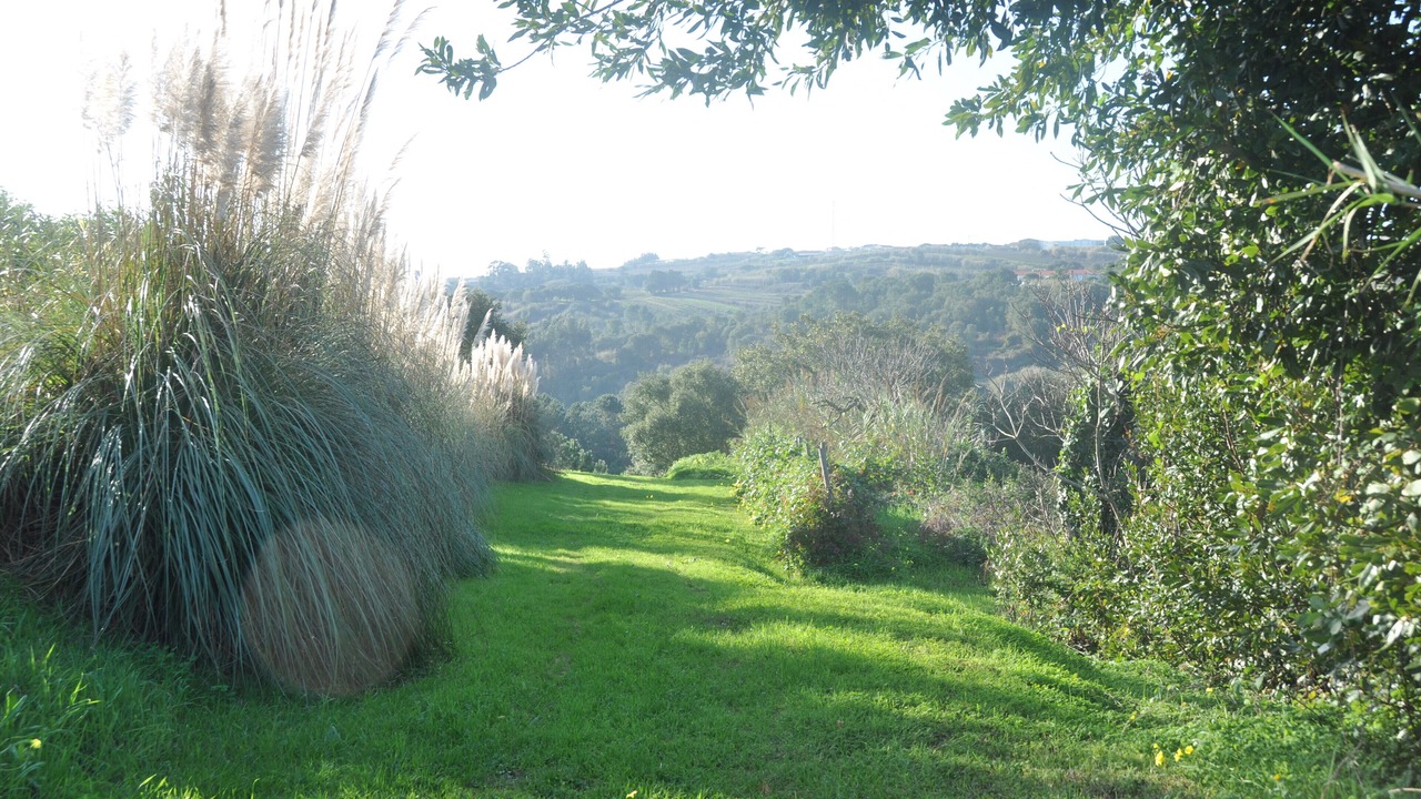 Photo of Outdoor in Obidos