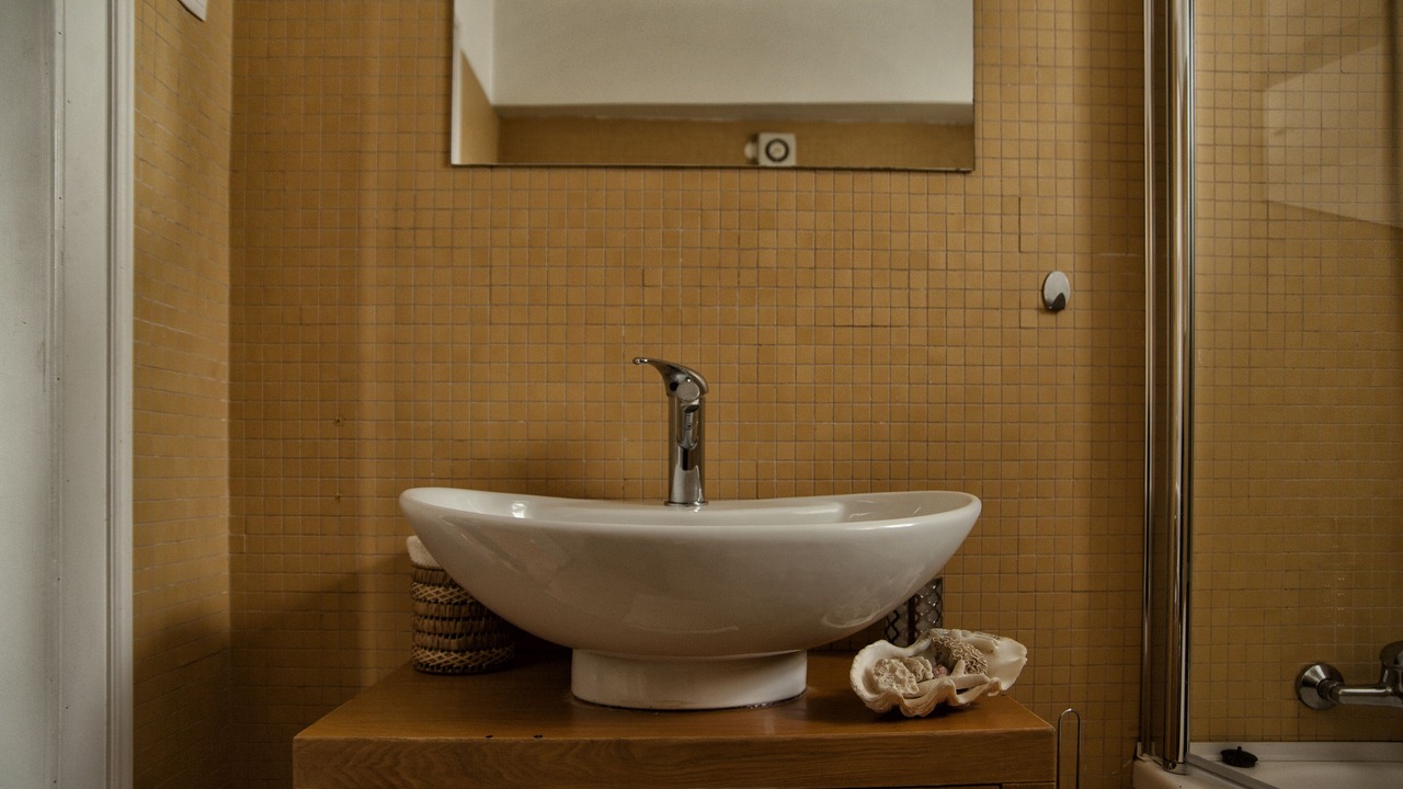 Photo of Bathroom in Evora