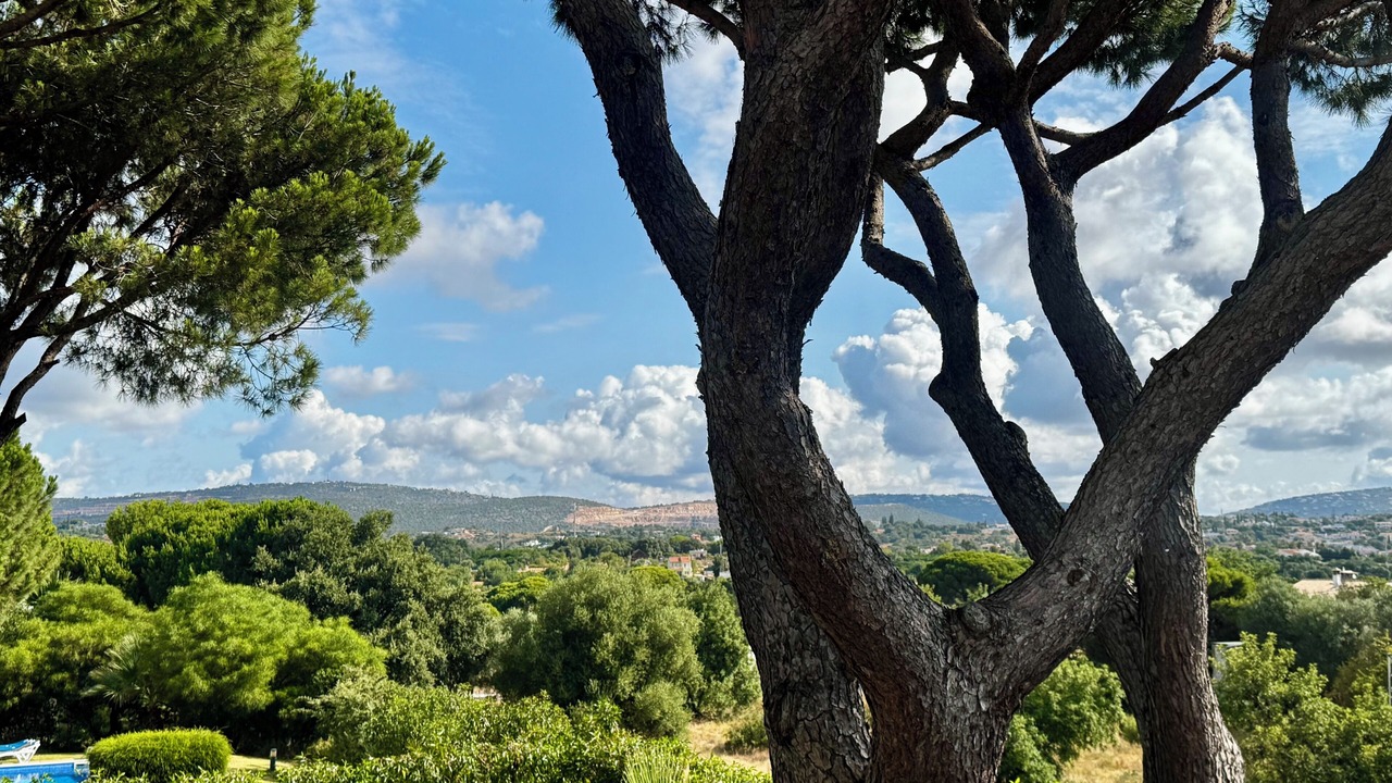 Photo of Others in Vilamoura