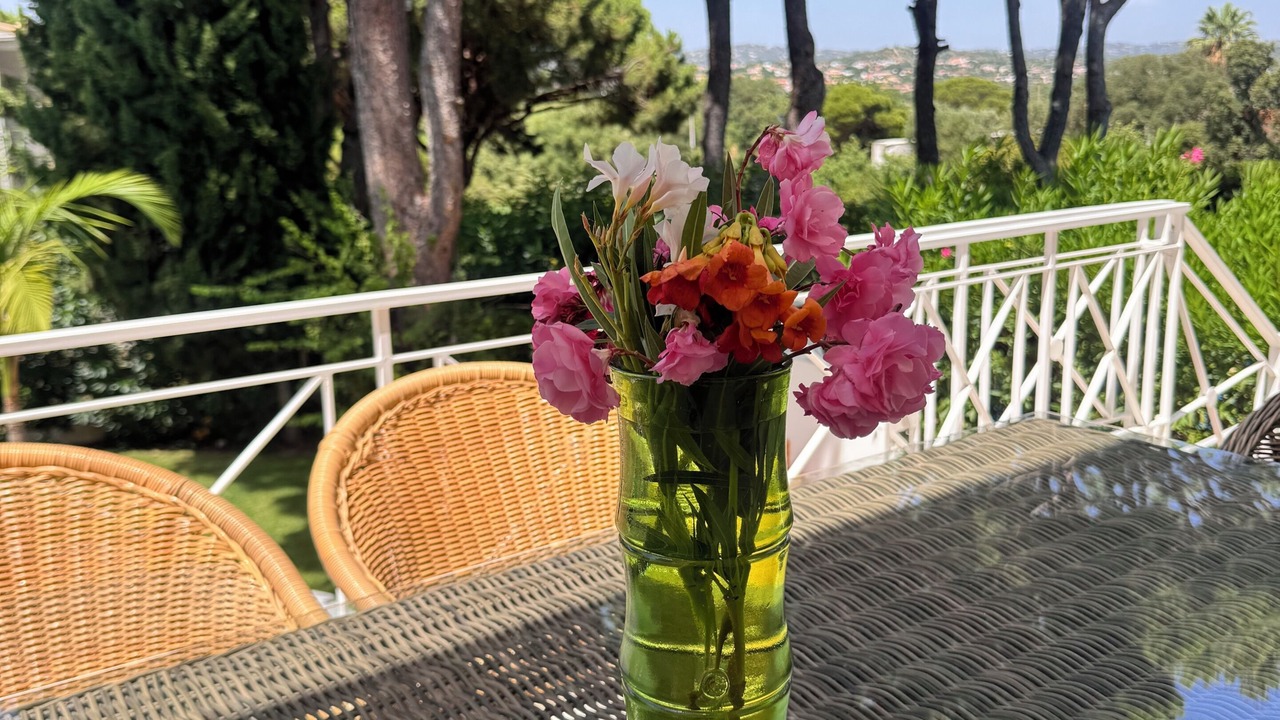 Photo of Outdoor in Vilamoura