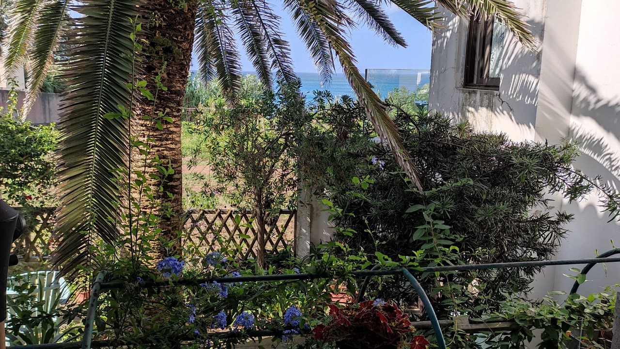 Photo of Outdoor in Lagoa