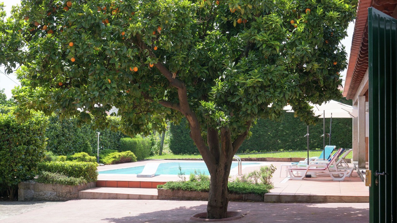 Photo of Outdoor in Ponte de Lima