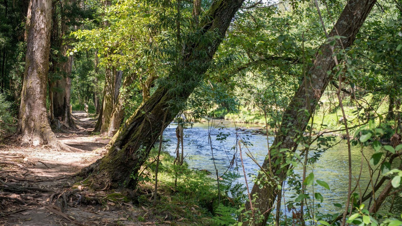 Photo of Others in Ponte de Lima