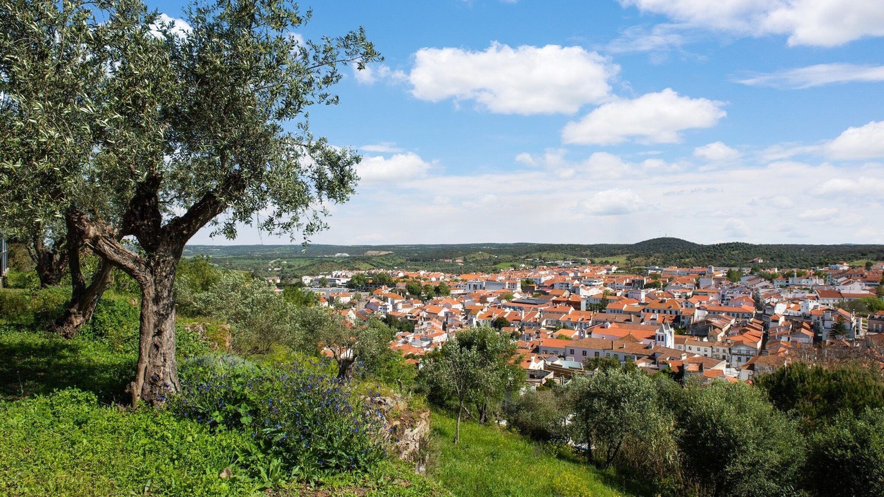Photo of Others in Montemor-o-Novo