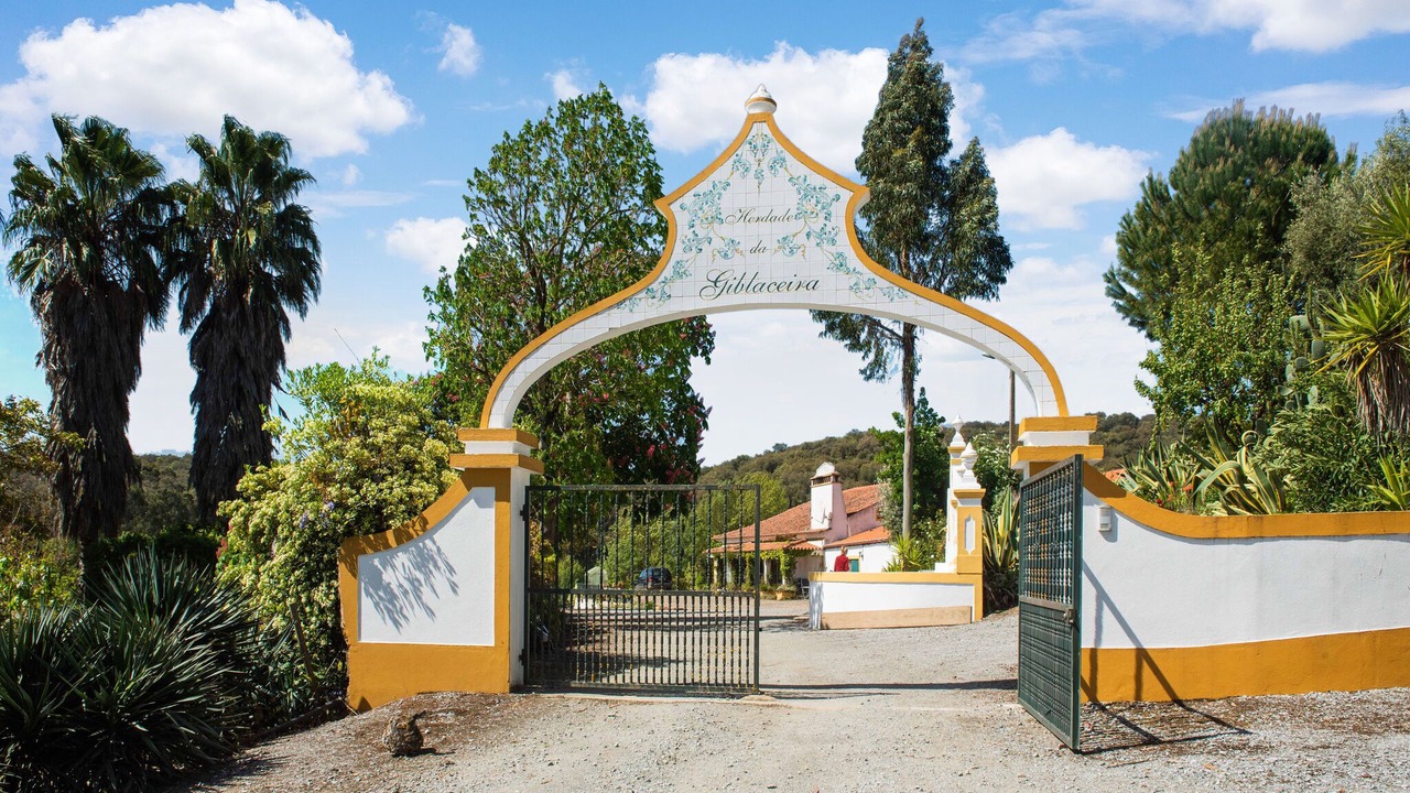 Photo of Others in Montemor-o-Novo