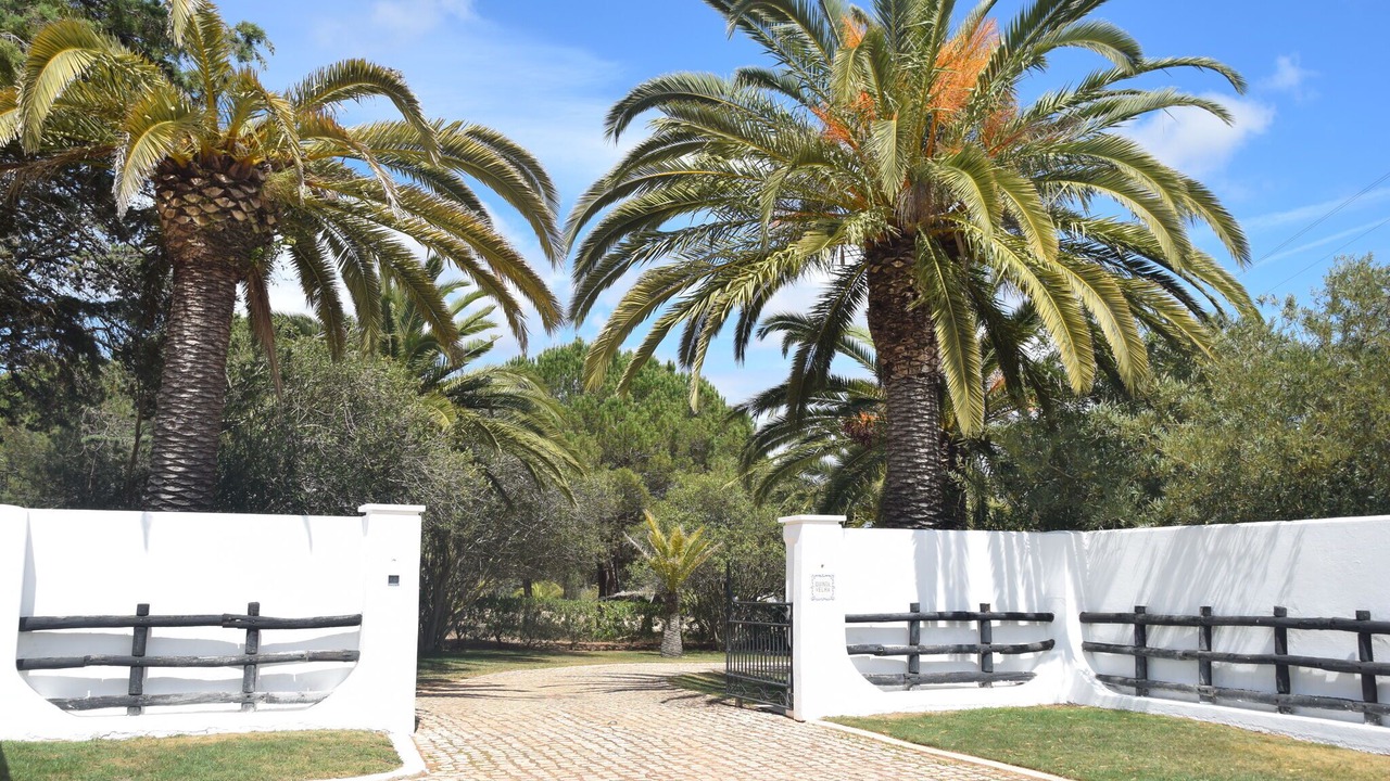 Photo of Others in Alfarrobeira